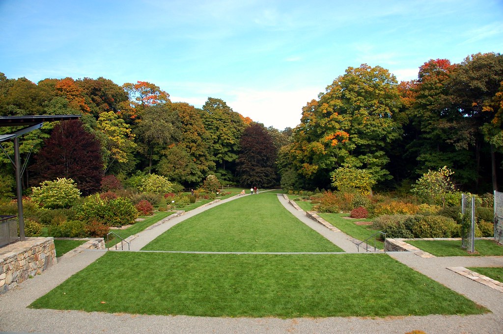 Image of a forest